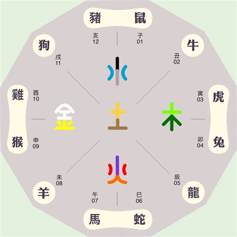 硨磲 五行|寈的五行属什么,寈字的五行属性,寈的寓意